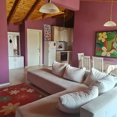 Penthahouse Shallvare Appartement *